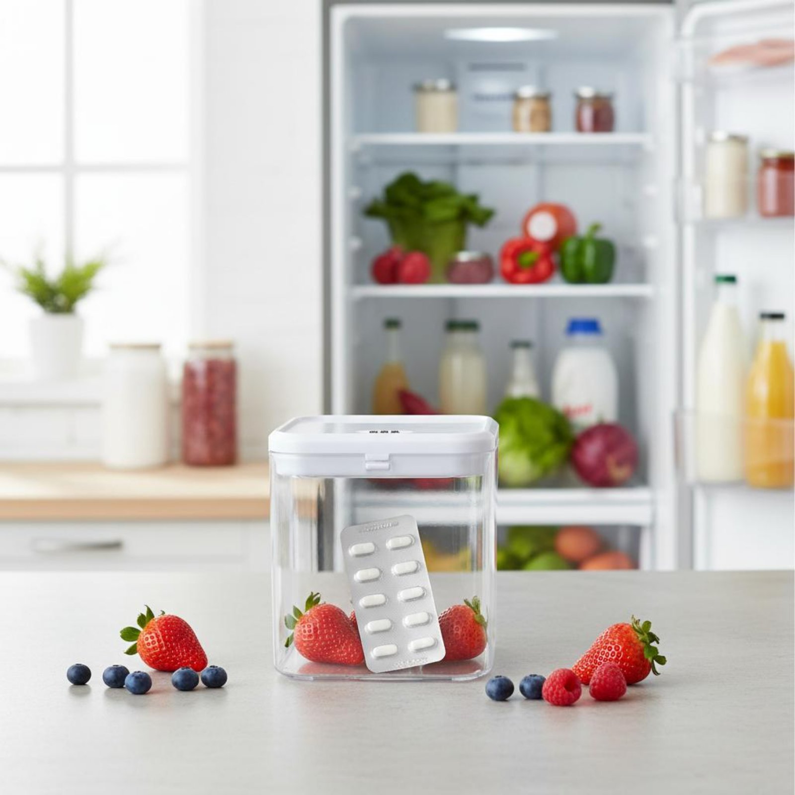 Clear Lockable Box Versatile L - Food Storage Kitchen ulasan dan harga