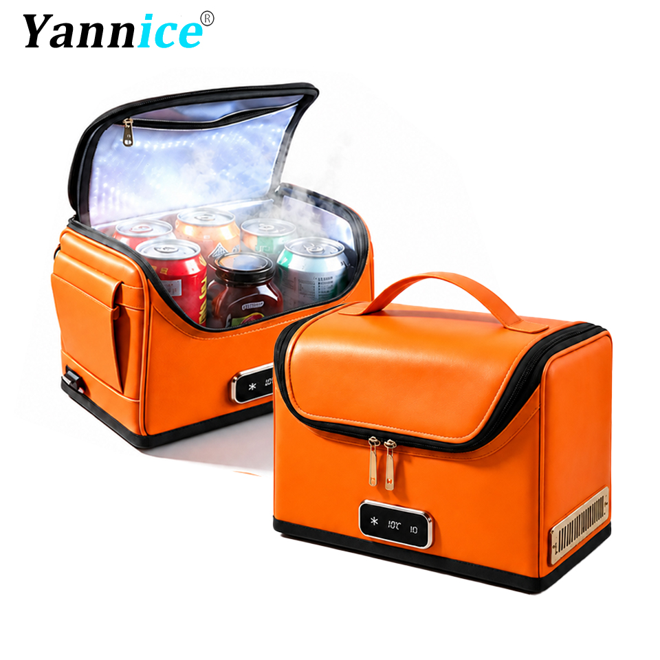 4L Car Refrigerator Mini Coole - Food Storage Hiking ulasan dan harga